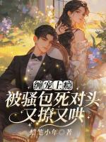 苏景年傅时钦短剧名