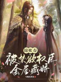 锦帐春无防盗