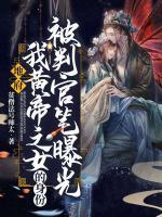 慕婉沈切之