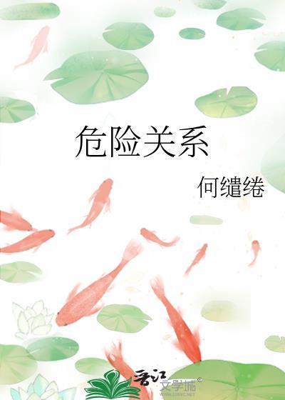 危险关系剧情