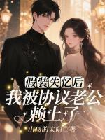 男主陆怀瑾女主夏叶星
