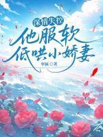 阮时笙孟缙北最后在一起了吗
