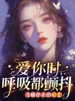 贺时鸣乔曦在线阅读