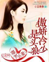 什么男主叫夜擎