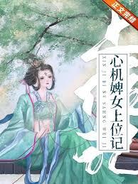 婢女上位记结尾番外篇