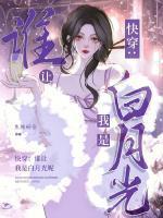 女主叫傅栀的