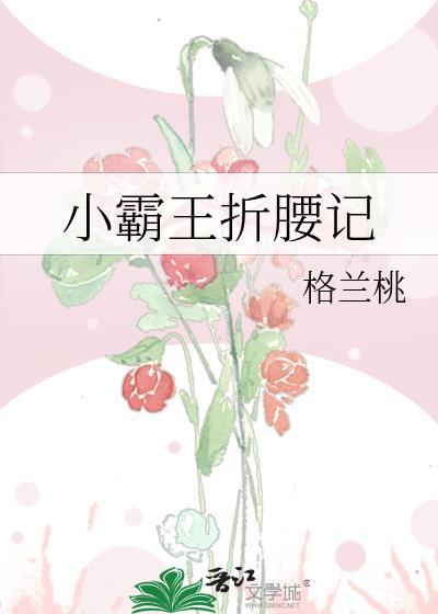 小霸王折叠电动车