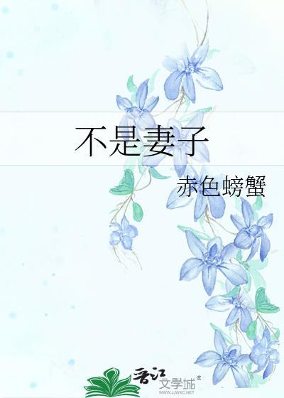 不是妻是什么意思