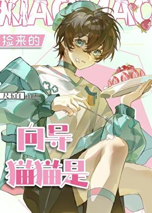 捡来的向导是猫猫吗