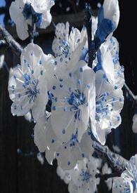 春秋航空三季报出炉 春秋航空三季报出炉