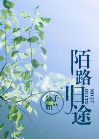 陌路归途第二季