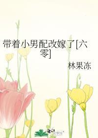 带着男妻奔小康微盘