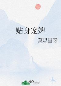 贴身宠婢番外