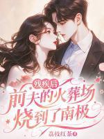 女主叫江岁安的
