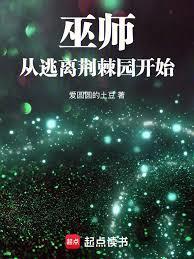巫师从远方来 免费