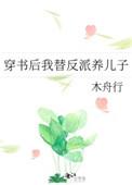 穿书后我替反派养儿子字数 穿书后我替反派养儿子字数