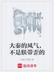 大秦风风风什么