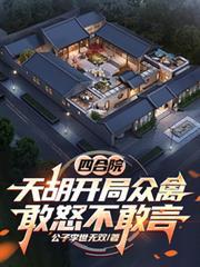 四合院开局天道