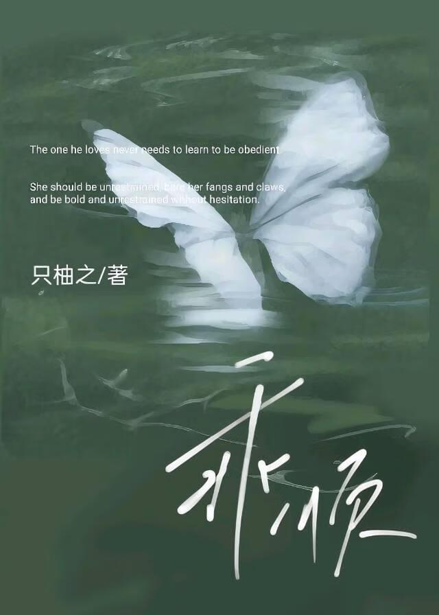 乖宠晋江文学城