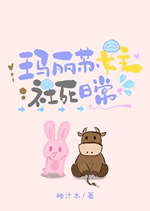 玛丽苏女主角名