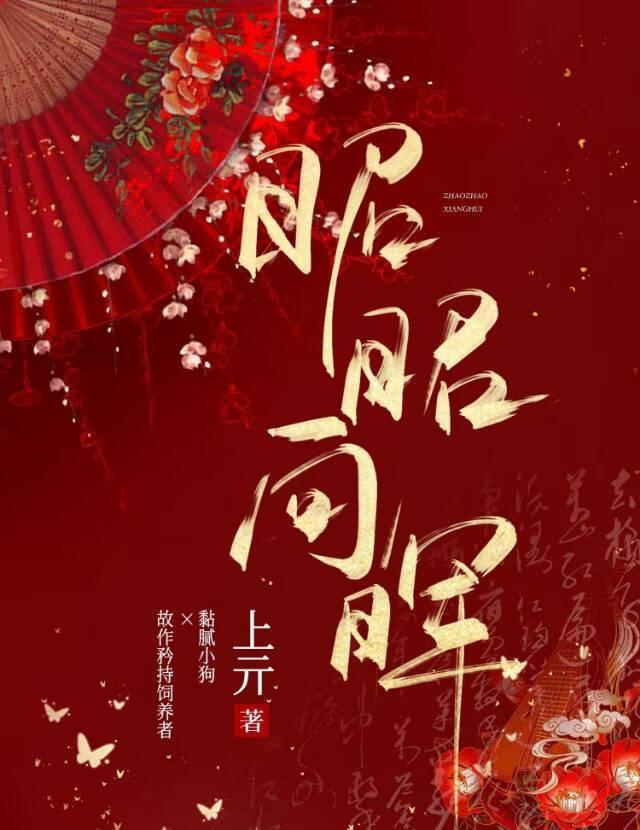 晖光烛我床 忧人不能寐 晖光烛我床 忧人不能寐