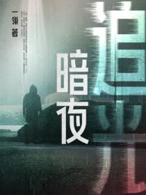 暗夜追光毒网缉凶录电影免费观看