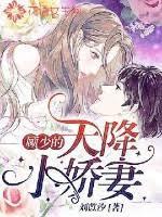 天降小妻霸道宠顾小夕