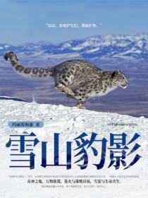 雪豹山是什么电视剧 雪豹山是什么电视剧