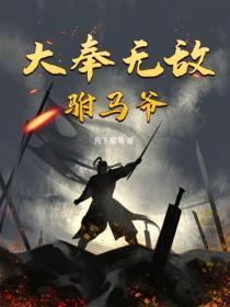 无敌驸马爷秦风