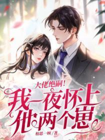 大佬绝嗣!我一夜怀上他两个崽 相思一顾 大佬绝嗣!我一夜怀上他两个崽 相思一顾