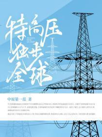 特高压技术全球标准 特高压技术全球标准