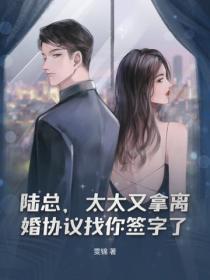 太太又拿离婚协议找你签字了 江念 太太又拿离婚协议找你签字了 江念