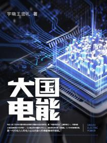 发电大国