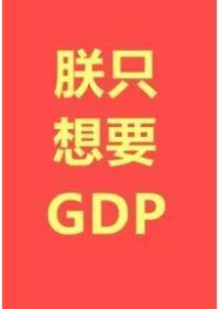 朕只想要GDP免费阅读