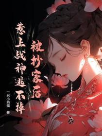 被抄家的将军 被抄家的将军