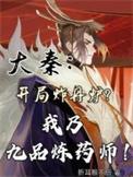 大秦开局炸丹炉我乃九品炼药师 大秦开局炸丹炉我乃九品炼药师