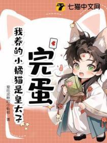 我家橘猫 我家橘猫