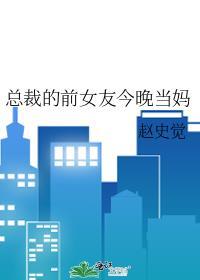 总裁的前任女友 总裁的前任女友
