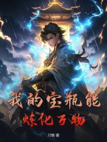 我的宝瓶能炼化万物 刀客 我的宝瓶能炼化万物 刀客