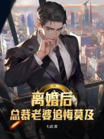 总裁离婚后后悔的
