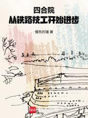 四合院从铁路技工开始进步原著