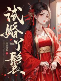 试婚全文