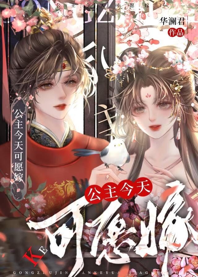 公主今天可愿嫁TXT