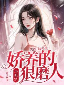 全本免费陆先生宠妻无度