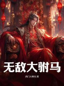 无敌驸马秦风动漫