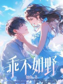 乖不如野暗示什么