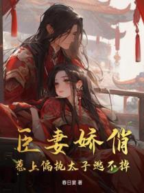 臣妻轻佻的玄子txt