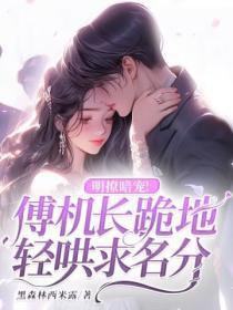 傅明予阮思娴机长