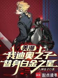 美漫我迪奥之子替身白金之星免费阅读