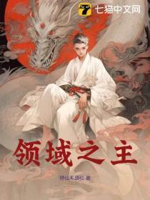 领域之主能升级到115装备吗